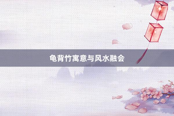 龟背竹寓意与风水融会