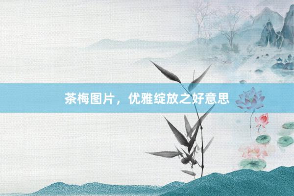 茶梅图片,优雅绽放之好意思