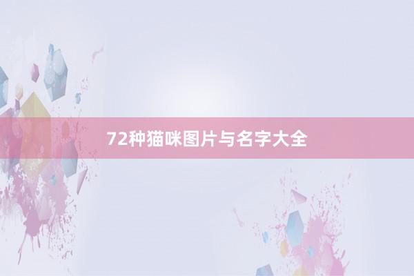 72种猫咪图片与名字大全